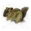 BH7843 HANSA Chipmunk 25