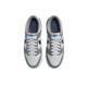 Nike Dunk Low Cool Grey Photo Blue FB9109-001