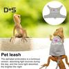 Lizard Reptile Leash Harness Set Adjustable Small Animal Harness with Traction Rope for Bearded Dragon Chameleons Outdoor Walking