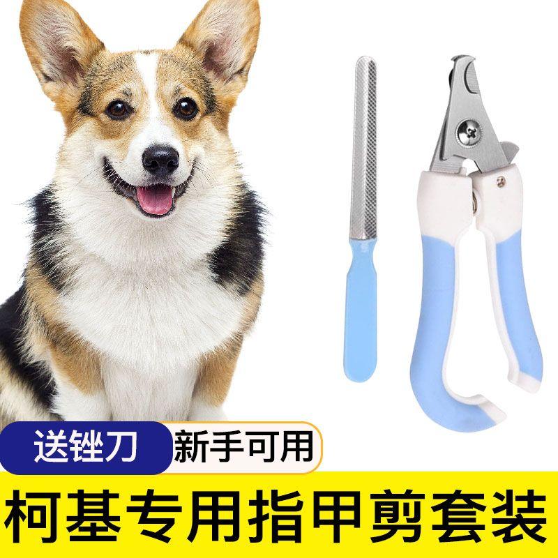 

Corgi Dedicated Dog Nail Scissors Nail Piercing Device Dedicated Nail Clippers Nail Scissors Nail Clippers Pet Supplies Corgi nail scissors Suit small size (length 14cm)