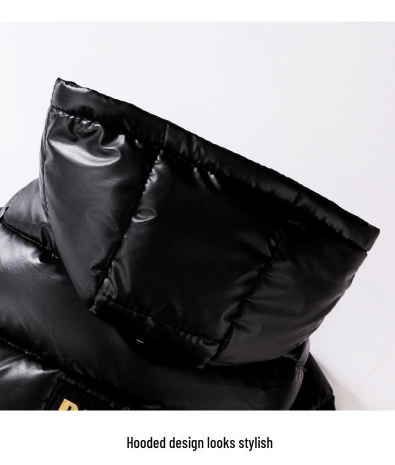 Graphene Black & Gold Hooded Down Jacket for Small Dogs & Cats - Autumn/Winter Pet Clothing