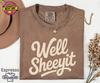 Comfort Colors® Well Sheeyit Country Western Shirt, Vintage Retro Western Shirt, Adult Sarcastic Humor Shirt, Funny Meme Shirt, Gift for Her