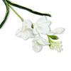 Takje - witte schuimfreesia 59 cm