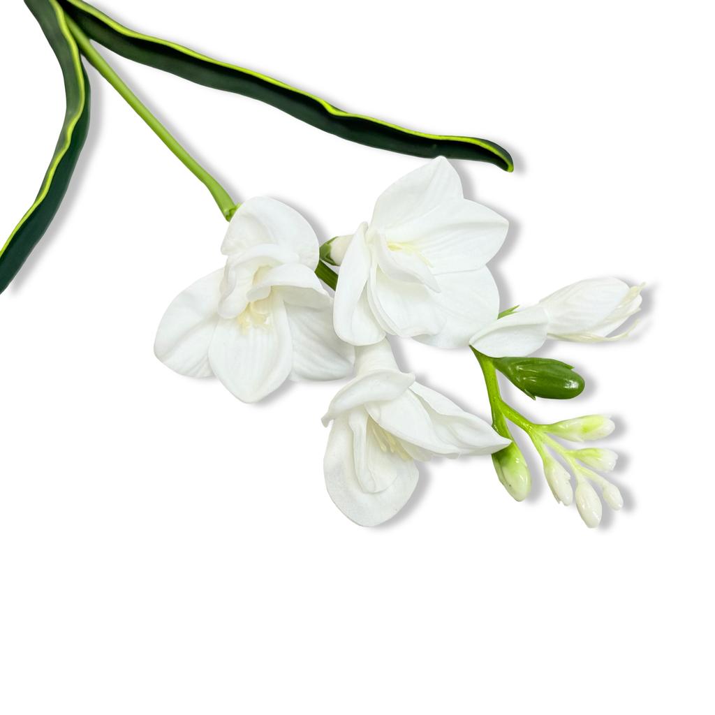 Takje - witte schuimfreesia 59 cm