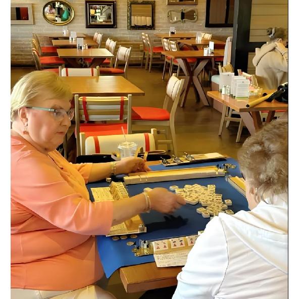 mah jong 2025 Cards Official Revision - Large Size - 4Pcs