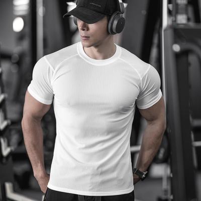 Men's Summer Quick-Dry Slim Fit Sports T-Shirt