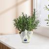 Creative Human Face Crack Abstract Funny Flower Pot Resin Craft Plant Pot Container