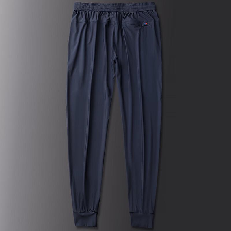 Men's Plus Size Ice Silk Jogger Pants