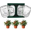 Plant Grow Tent with Observation Window Indoor Hydroponics Grow Room Growing Tent For Greenhouse Growing Plants Growth