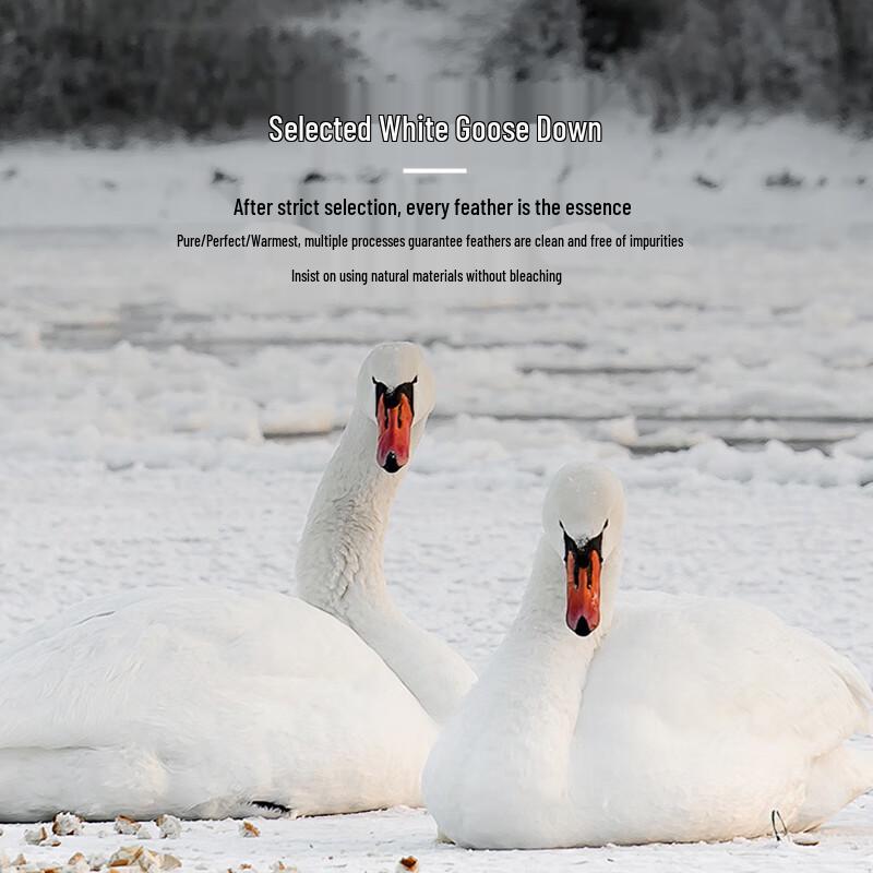 TTC Silent Anti-bacterial White Goose Feather Winter Quilt