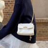 Premium Texture Large Capacity Tote Gift Girlfriend Practical Sheepskin Messenger Bag Commuting Gift Armpit Bag