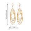 Exaggerated Metal Hollow Earrings Gold Silver Ear Hook Exquisite Long Tassel Dangle Earrings  Gift