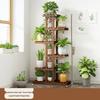 Multi-Tier Plant Display and Storage Shelf