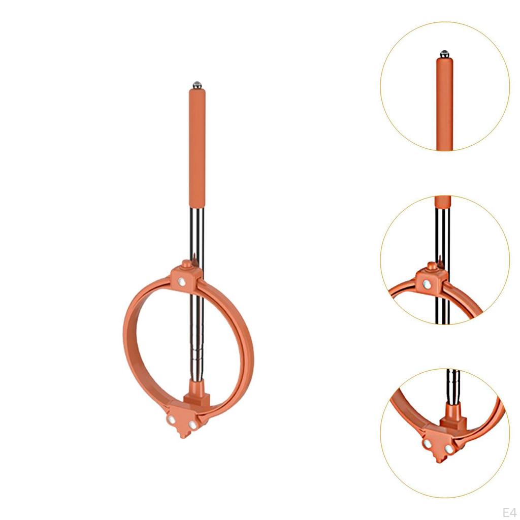 Dog Catcher, Multifunctional Waste Cleaning Tool for Walking, Dirt, Medium And Large Pets,