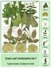 Handmade Transparent Bottle Embossing Film for Spring Plant Specimen Bookmarks