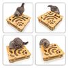 Katzen-Puzzle-Spielbox Selbstunterhaltendes Katzenspielzeug für Wohnungskatzen