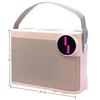 With Dual Microphone Karaoke Speaker Bluetooth 5.3 Wireless Microphone Speaker  Family Party