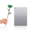 Long Stem Dipped 24k Gold Trim Red Rose In Gold Gift Box with Stand (green Rose with Stand)