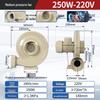 Filtros e compressores – Compressores de ar e acessórios