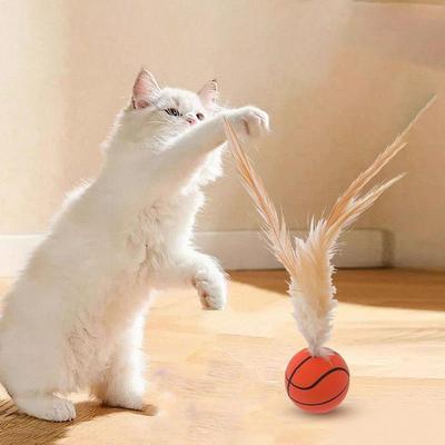 Cat Teaser Wand with Feather & Elastic Ball - Chewable Fun Self-Play Toys for Kitten Boredom Relief Interactive Cat Supplies