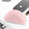 OLOEY Ergonomic Wireless Vertical Mouse