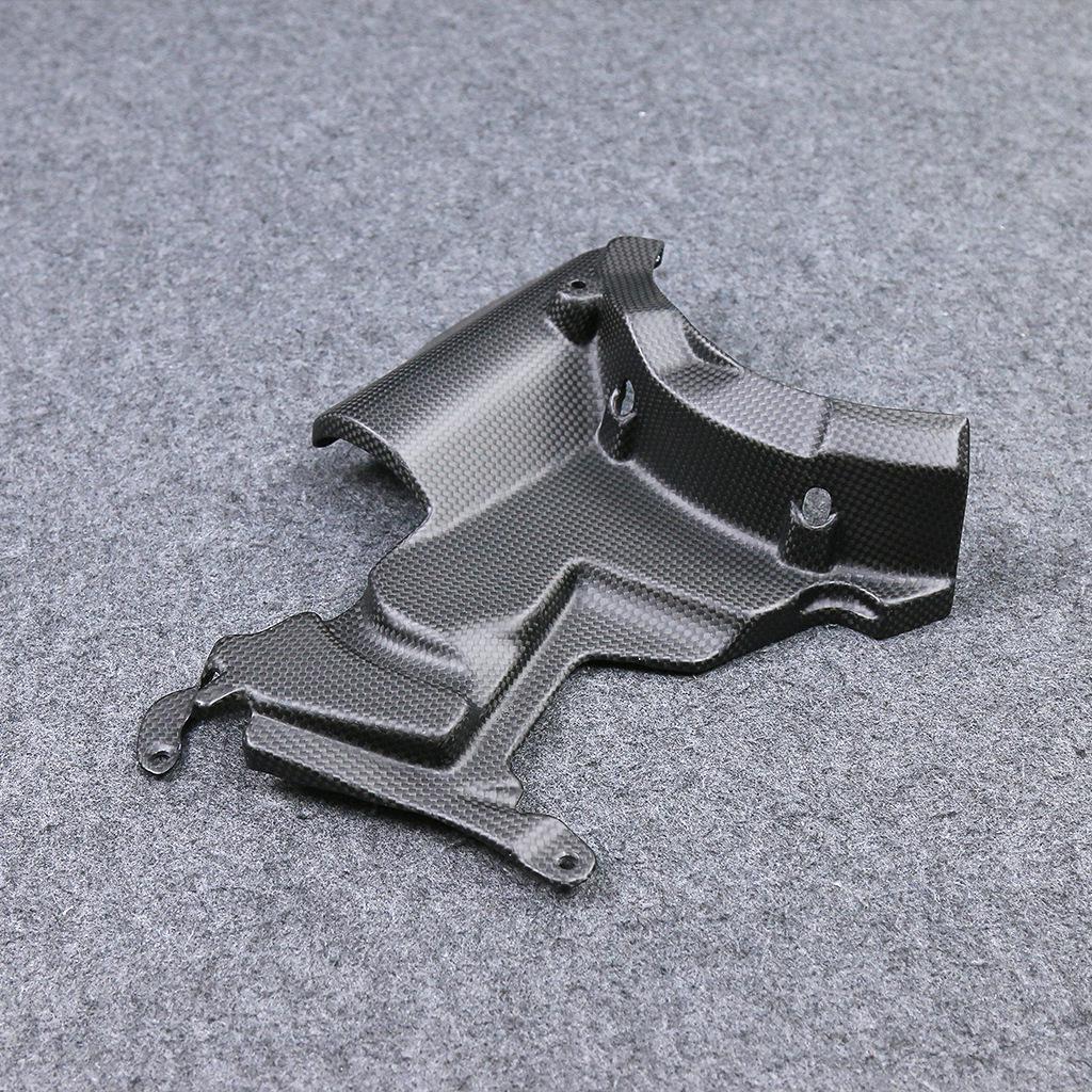 Ducati Streetfighter V2 Carbon Fiber Engine Cover