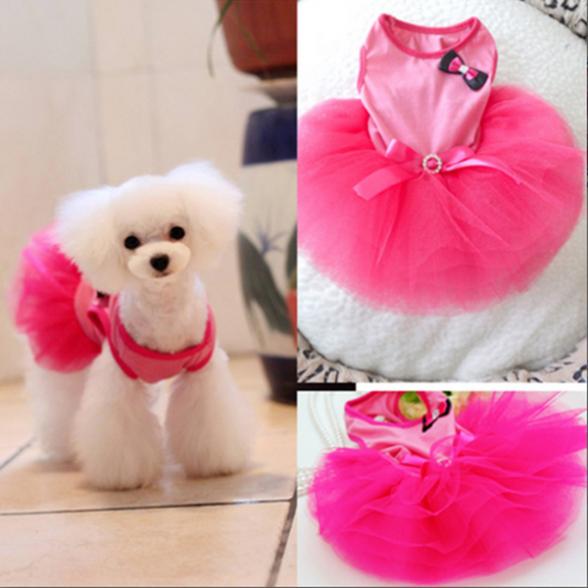 dog tutu dress