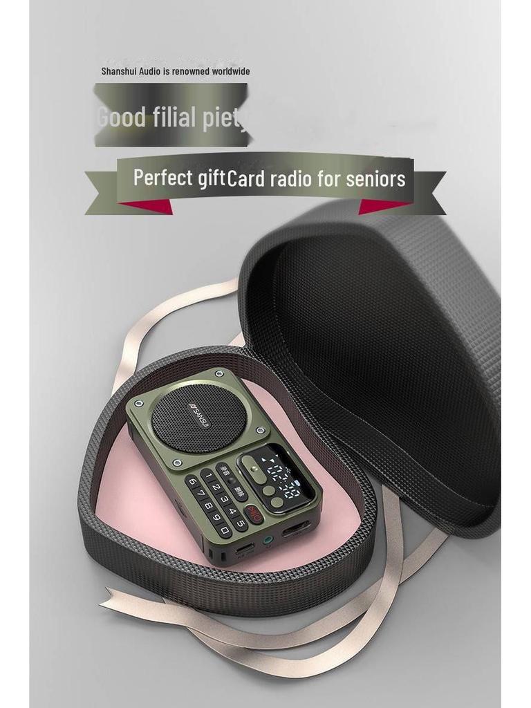 Sansui/Shanshui F22 bærbar Bluetooth-høyttaler med FM-radio og USB-opptak