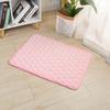 Custom Logo  Bite Resistant Pet Mat Warm Sleeping Pad Dogs & Cats Soft Mat Anti-Slip Durable Pet Mat for Small/Medium/Large Pets
