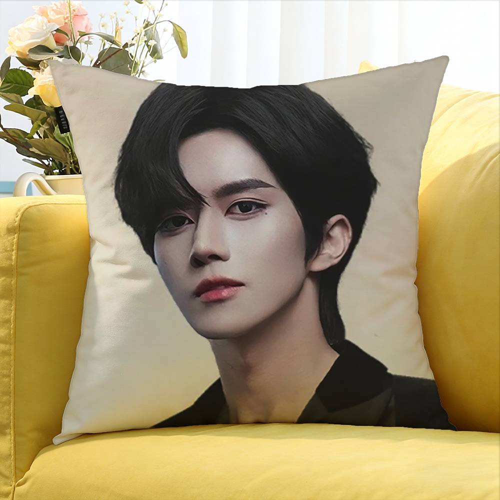Huang Xing Eliot Huang D-Desire Various Sizes Square Pillow Case For Car Home Bedchamber Decor