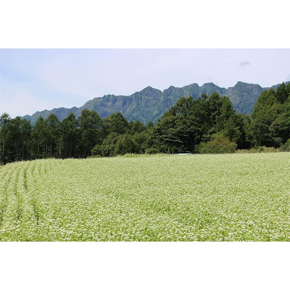 Obinata Togakushi Soba 4 Bündel 340 g x 20 Stück