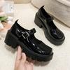 Mary Jane Women's Shoes 2025 New Fashion Versatile with Skirt Small Leather Shoes Women's French One-word Buckle Belt Thick Heel Single Shoes