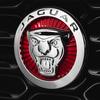 Car Front Grill Emblem Logo Rear Trunk letter Badge Sticker For Jaguar XF X-TYPE S-TYPE XE XJ XK XJL XFR F-Type F-Pace SS3