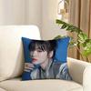 Song Hye  Kyo Cushion Cover Reversible Plush Pillow Cover Soft Fluffy  Home Decor for Sofa Bedroom