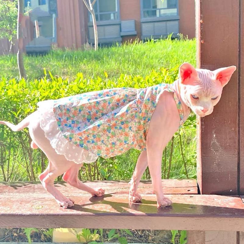 Sommer Sphynx Katze Hund Kleidung Luxus Prinzessin Kleidung Für Haarlosen Katzen Kostüm Kätzchen Weste Kostüm Welpen Rock Niedlich