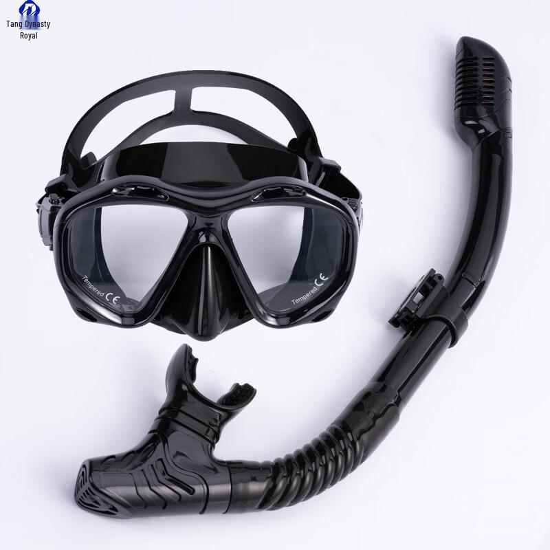 Full-Face Snorkeling Mask & Dry Snorkel Set