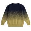 Little Elephant Ham Boys' Half-Turtleneck Cotton Sweater