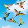 6/8 Pcs Window Stickers Adhesive Window Film for Home Decor Gift Hummingbird Window Clings Window Decor Decals Anti-Collision