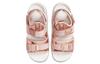Nike Canyon Sandal 'Metallic Red Bronze' Women's CW6211-929