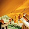 Peralng Outdoor Camping Travel Clothesline