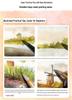 Beginner's Guide To Watercolor Landscape Painting: Complete Tutorial Collection