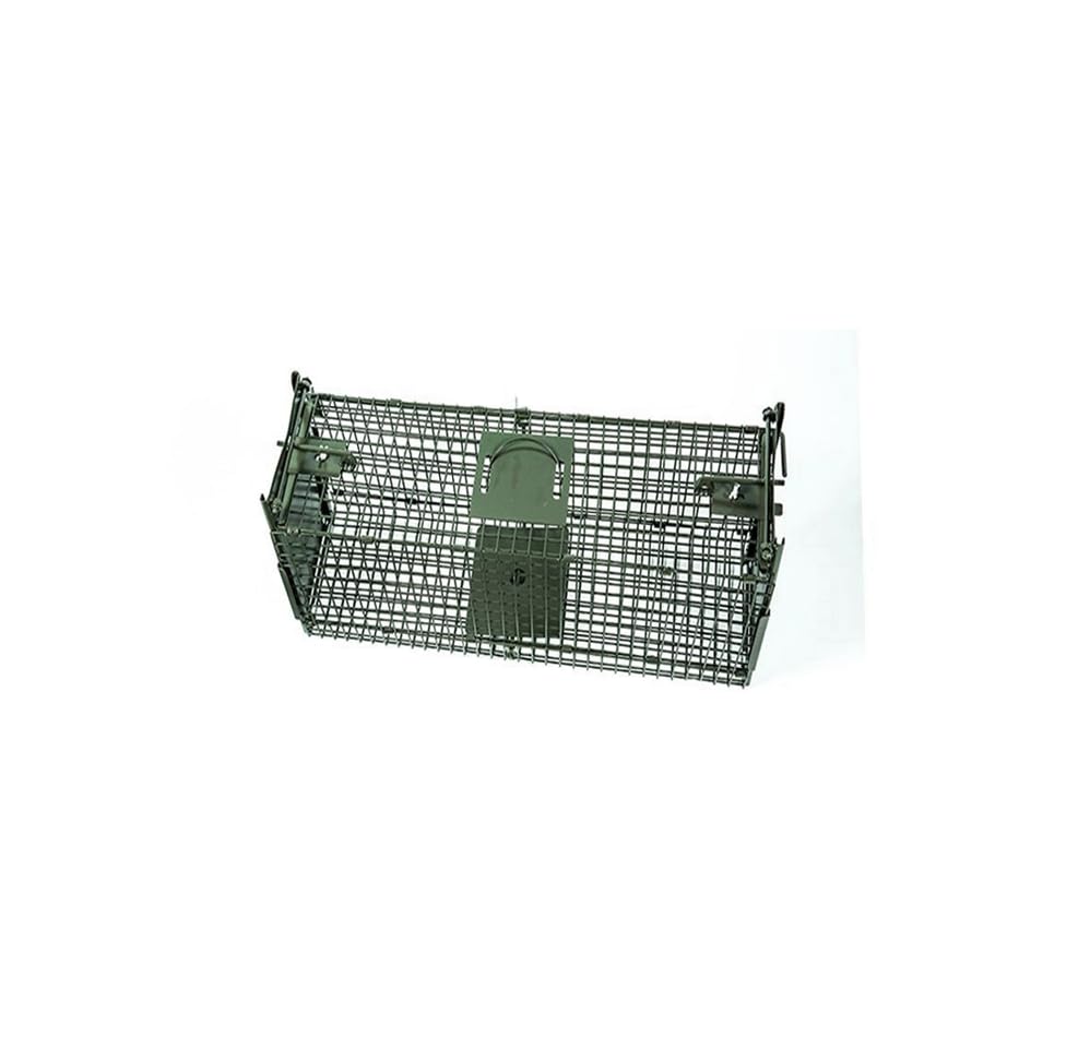 

Cat Easy to Ideal for Vegetable and Other Small Green Trap, Assembly, Gardens, Gardens, Animals,