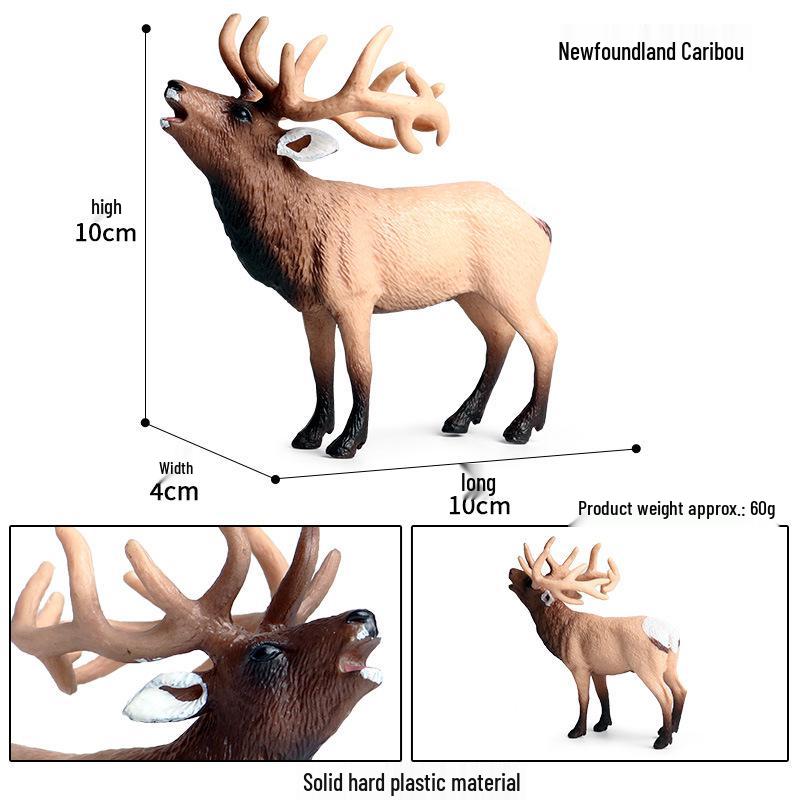 Realistic Wild Animal Models: Rhino, Hippo, Panda, Jaguar, Lion, Camel Cognitive Toys for Children