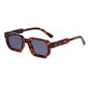 Trendy Small Frame Square Sunglasses for Women - New Style, Versatile Design