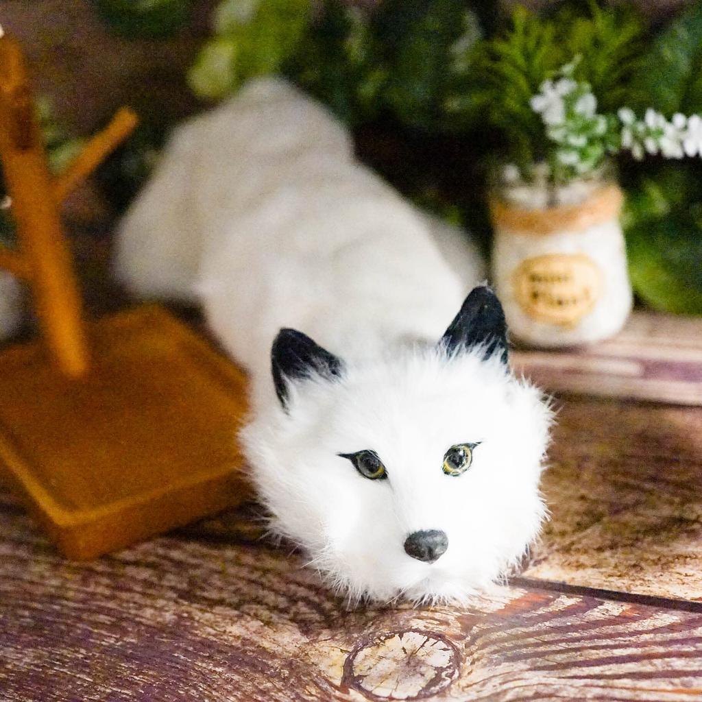 Raccoon Magic Trick Fox White Face Spring Pet Maggie Magic Trick Cute Animal Raccoon Plush Toy Lucky-kun