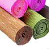 Crepe Paper Flower Craft Kit for Party Decor