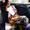1pc, Zootopia Nick & Judy Blanket Soft Throw for Home Decor, Couch Cover, Travel, Camping, Car, Beach, Office Nap Perfect Gift for Friends
