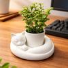 3D Printed Cat Sleeping Flowerpot Plastic Animal Shaped Planter Cat-Shaped Planter Pot  Desktop