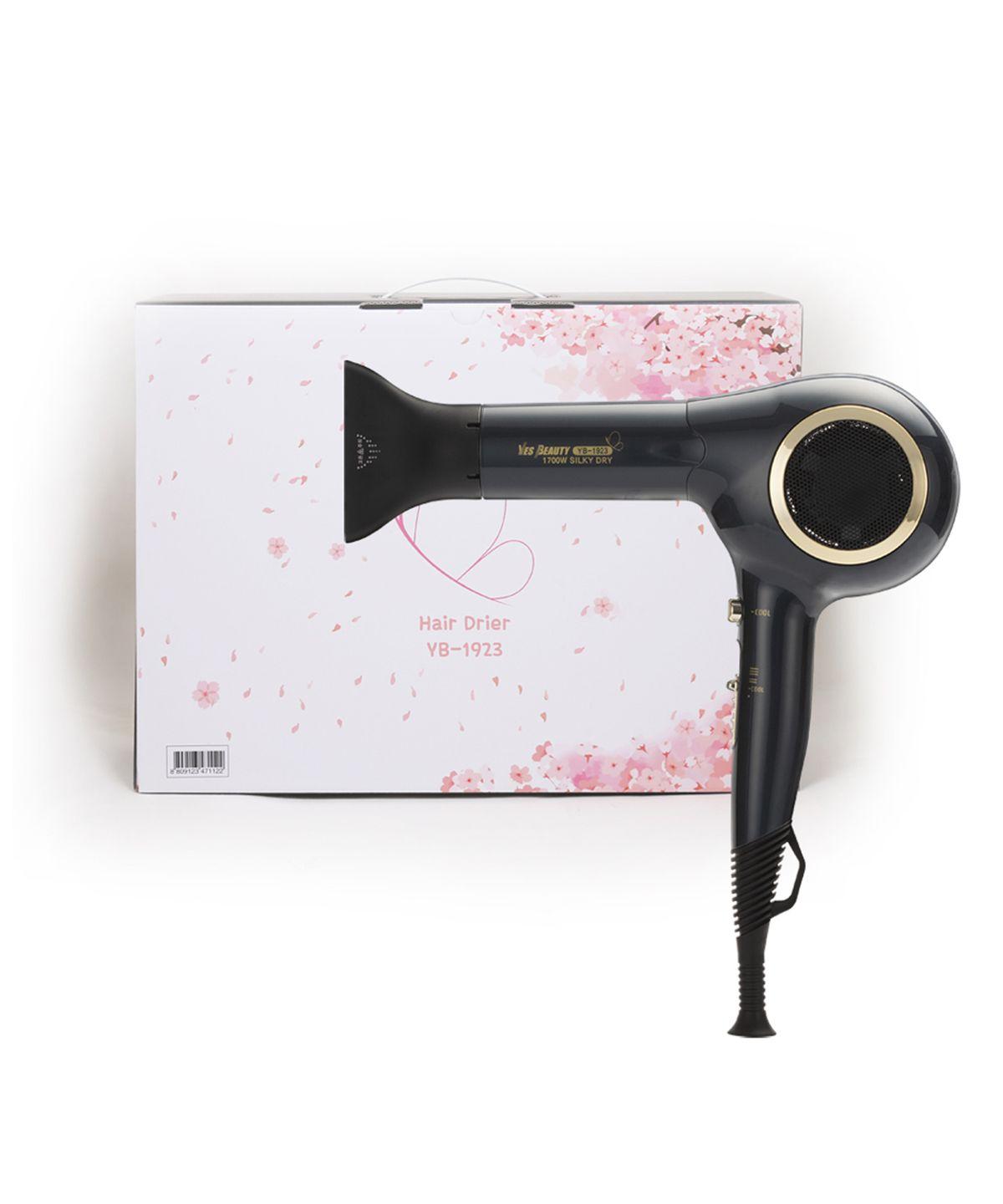 Premium Hair Salon Aircraft Motor Silky Hair Dryer for Gifts YB-1923