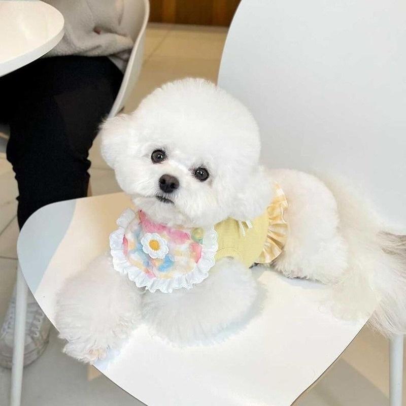 Fashion Dog Bib with Cute Lace Pet Bib For Puppies Neckerchief Pet Supplies Accessories for Dogs Scarf